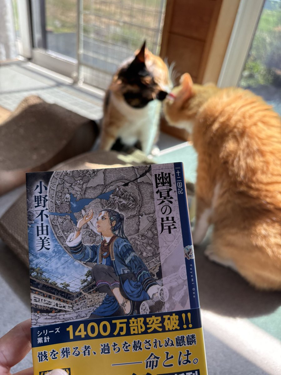 PiYoPiYo5307070's tweet photo. ｷﾀ――(ﾟ∀ﾟ)――!!
※読む時間があるのか、、、
※この前の最新刊がすでに7年前、、、
※私は何歳ですか、、、(>_<)
#十二国記
#小野不由美先生 https://t.co/BgpKfcHcln