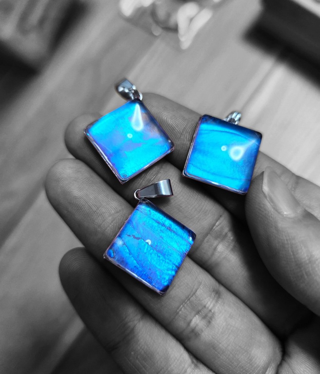 momo_morpho's tweet photo. 来週の目玉作品〜👀✨

モルフォブルーを閉じ込めたスクエアトップ、売り切り蝶特価で並べる予定です��！

#アトリエもも
#本物の蝶の羽
#森の宝石
#インセクトフェア https://t.co/6v7mrNRbYA