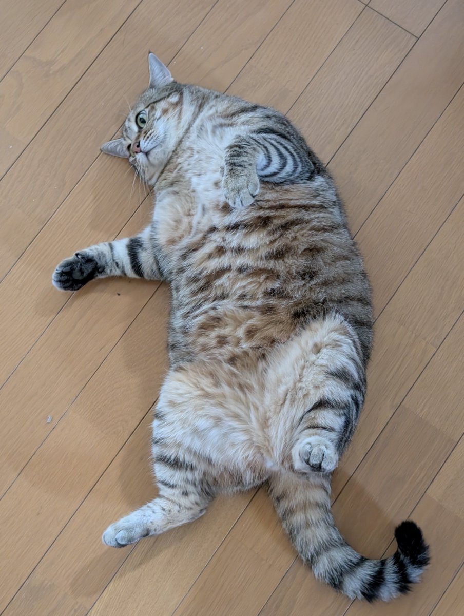 hotateyasan's tweet photo. 今日色々あって疲れたから
お腹吸っていい？ https://t.co/UmyJl8dq9z