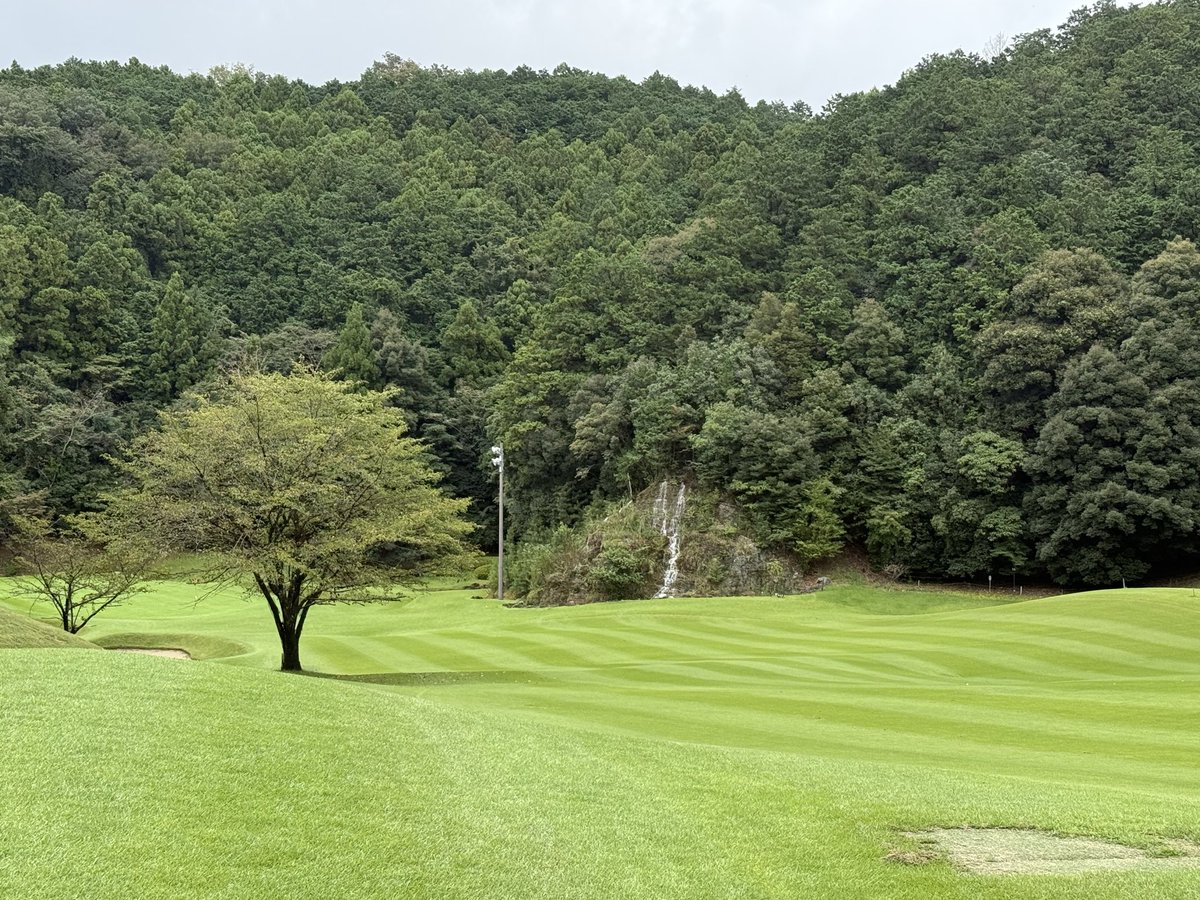 uncle0054's tweet photo. 2回目のJGMおごせ⛳️

👟eccoからコールハーンに戻したら、だいぶ調子良い⤴️ https://t.co/gPvIn56yL5