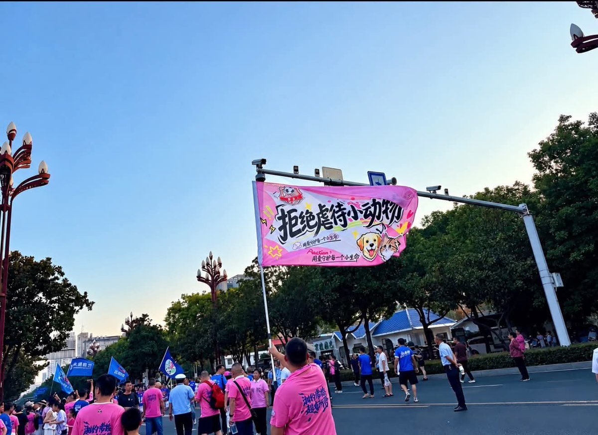 whyyoutouzhele's tweet photo. 9月16日，湖南常德有人在街头游行中举旗声援旺旺，呼吁拒绝虐待动物。  
现场，一名身穿粉色上衣的男子高举印有猫狗图案的粉色旗帜，上面写着“拒绝虐待小动物”“用爱守护每一个小生命”。 https://t.co/AQGBNH1SZu