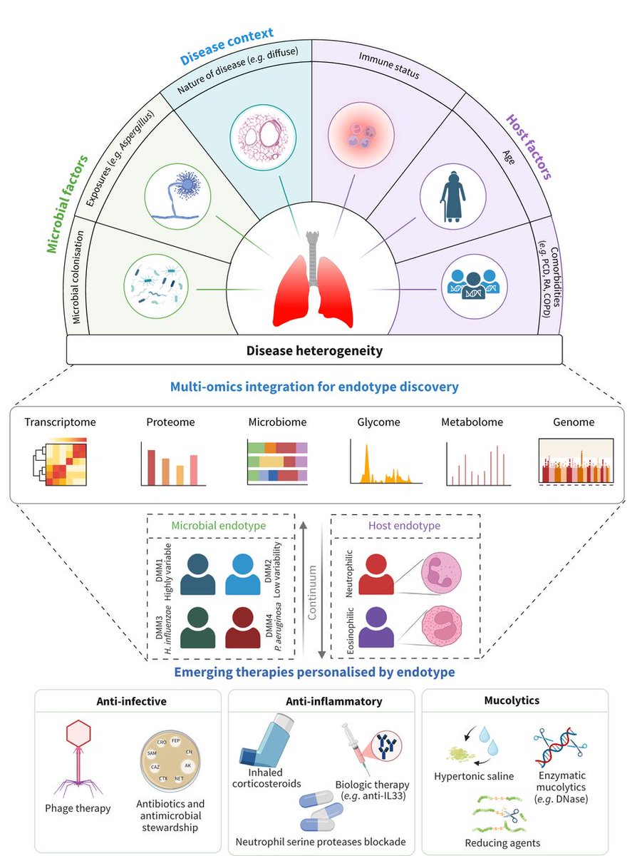 ERSpublications's tweet photo. Bronchiectasis is driven by dynamic host–microbiome interactions, not single pathogens. Integrating microbial and immune multi-omics can define actionable endotypes, enabling precision therapy and accelerating translation from discovery to clinical care. https://t.co/5pUYrIAwqa https://t.co/IboJN3Wlvs