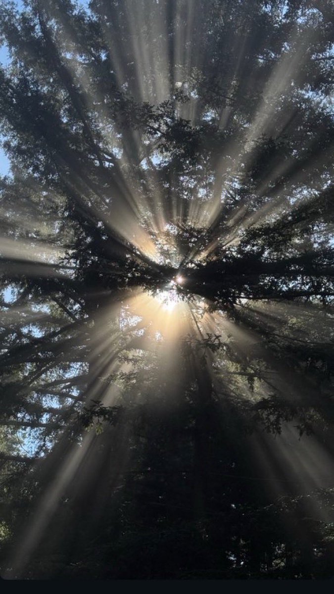 mie9n's tweet photo. أشبه بدخولك لحياتي ☀️ https://t.co/WVRw8vi9Xt