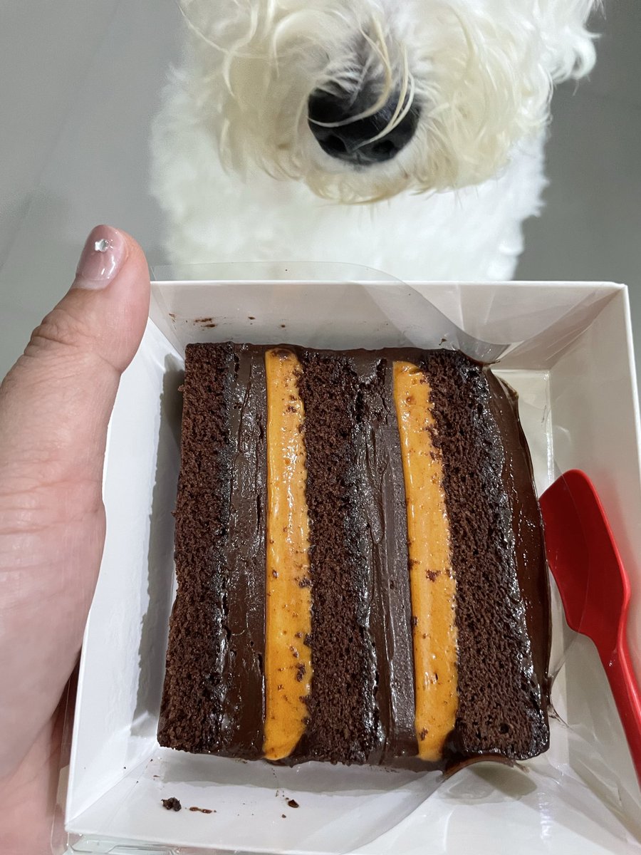 hcipyume26's tweet photo. ช่วงนี้ฮิต London Cake🍰🏴󠁧󠁢󠁥󠁮󠁧󠁿✨ กันหยอออ งั้นขอป้ายของ Skinnylicious นะ สำหรับเราตัวนี้เนื้อไม่แห้งนะ หวานปกติเหมือนเค้กทั่วไปอยู่เลย 💗แต่! น้ำตาล 0% 220 kcal และแบรนด์มีผลเทสด้วยนะ ใครกลัวอ้วนกลัวน้ำตาลพุ่งเเต่อยากกินเค้ก เราเเนะนำอันนี้เลยคับบบ🫶🏻 https://t.co/yRIklHvQe1