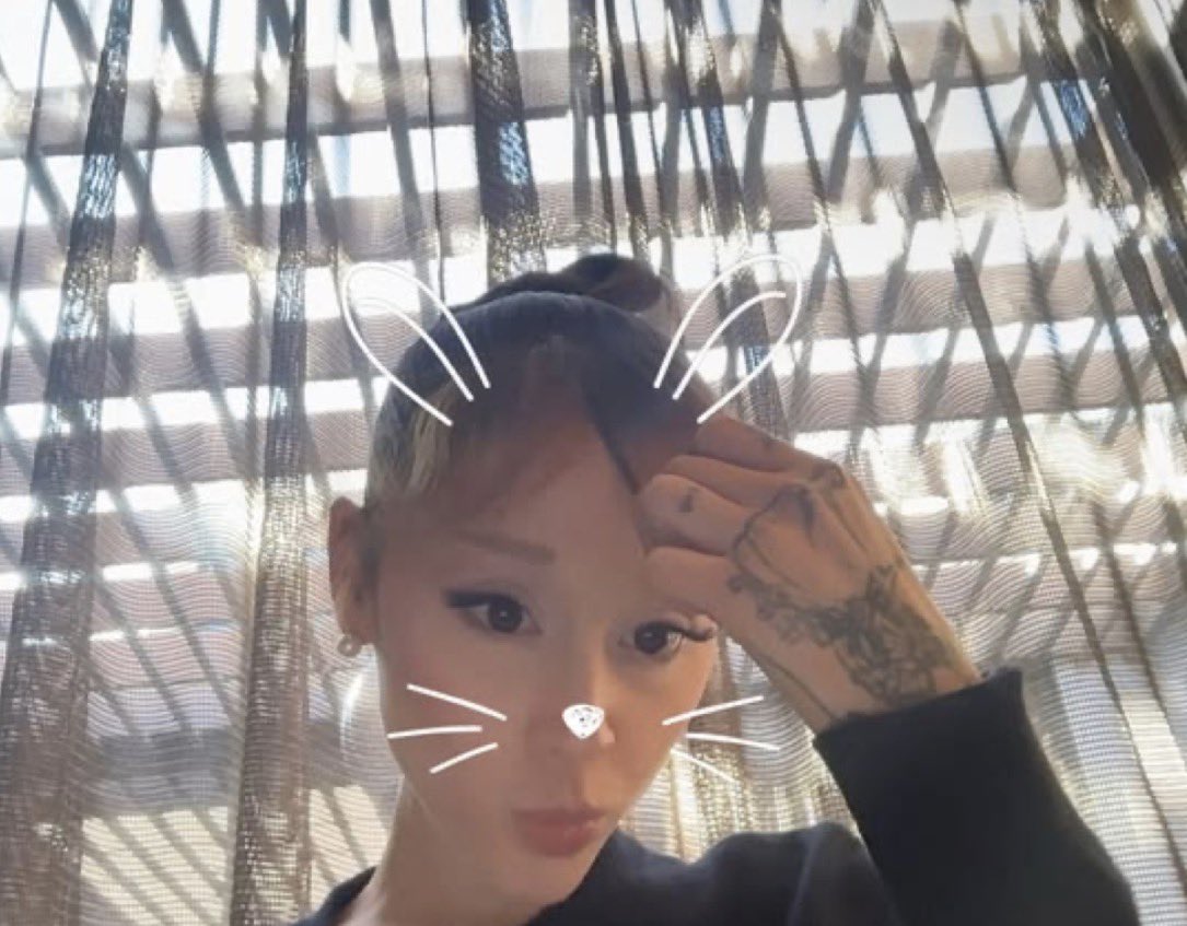 petalsinparis's tweet photo. She’s so
   ᥥ ᥥ 
( ･ ༝ ･)   ! https://t.co/hki9NbPL0Y