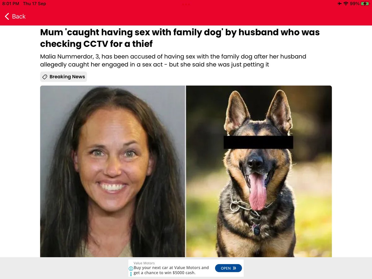 htfc2's tweet photo. Do you recognise this dog 🤣🤣🤣🤣 https://t.co/2UtAClqW7G