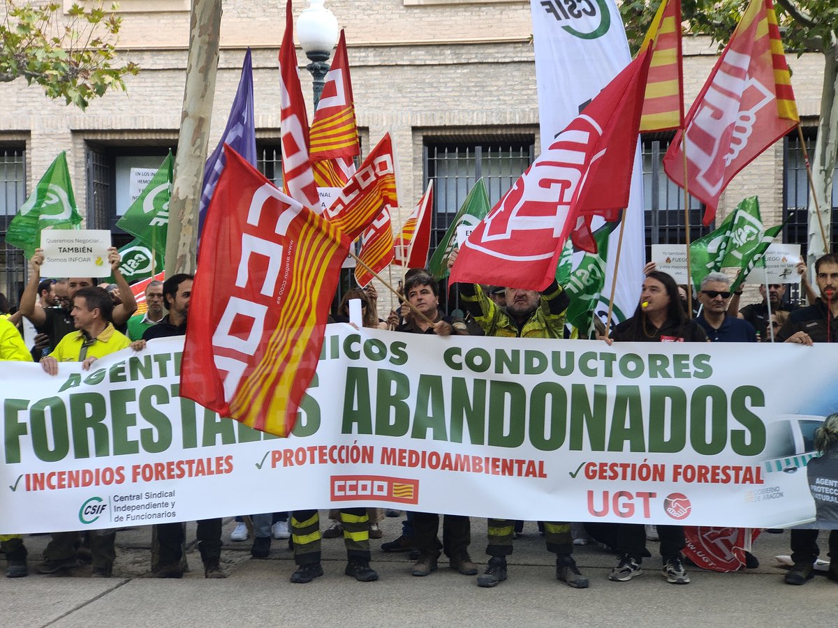 CCOOAragon's tweet photo. Desde las puertas del Edificio Pignatelli ✊🔥
📢 El personal laboral y funcionario del #INFOAR (Ingenieros/as, Conductores/as y APNs) dice ¡BASTA!
Hoy nos concentramos a las puertas del Edificio Pignatelli en Zaragoza. Tras 25 años sin avances en las condiciones laborales del personal funcionario y laboral del dispositivo de incendios forestales (Ingenieros/as, Conductores/as y APNs), la indignación de la plantilla es total.
El Gobierno de Aragón prometió presentar propuestas de mejora para esta mesa de negociación y las ha incumplido por completo. Anuncian inversiones millonarias mientras invisibilizan a su propia plantilla, encargada de la protección de nuestros montes tras una campaña extenuante.
Desde CCOO Aragón lo tenemos claro:
✅ Negociación real y mejoras laborales inmediatas.
✅ Reconocimiento al esfuerzo del personal público de gestión y prevención de incendios.
✅ Si no hay acuerdos concretos, intensificaremos las movilizaciones sin descartar la huelga.
¡Por unos servicios públicos dignos y la defensa del territorio! 🌲✊
#INFOARenLucha #DGA #IncendiosForestales #ServiciosPúblicos #APN #Zaragoza #EmpleoPúblico #Aragón