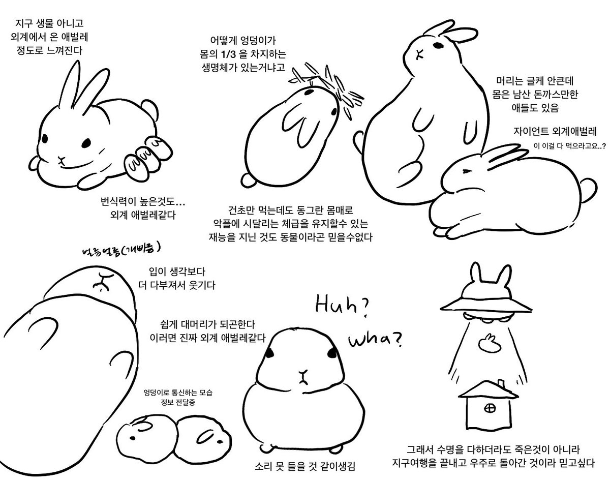 memishozyo's tweet photo. 토끼 https://t.co/BB1c8UhY6Z