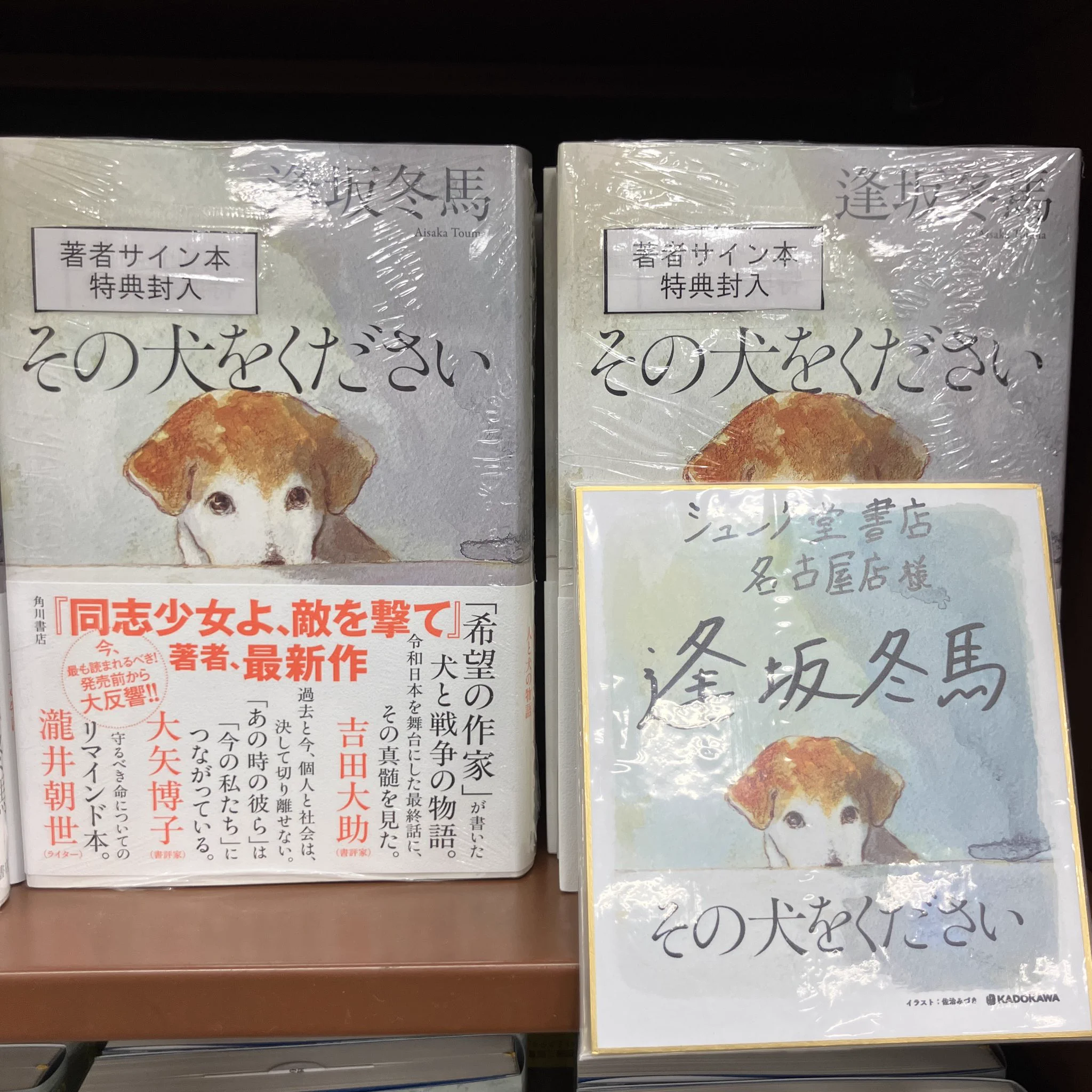 ジュンク堂書店 名古屋店 on X: 