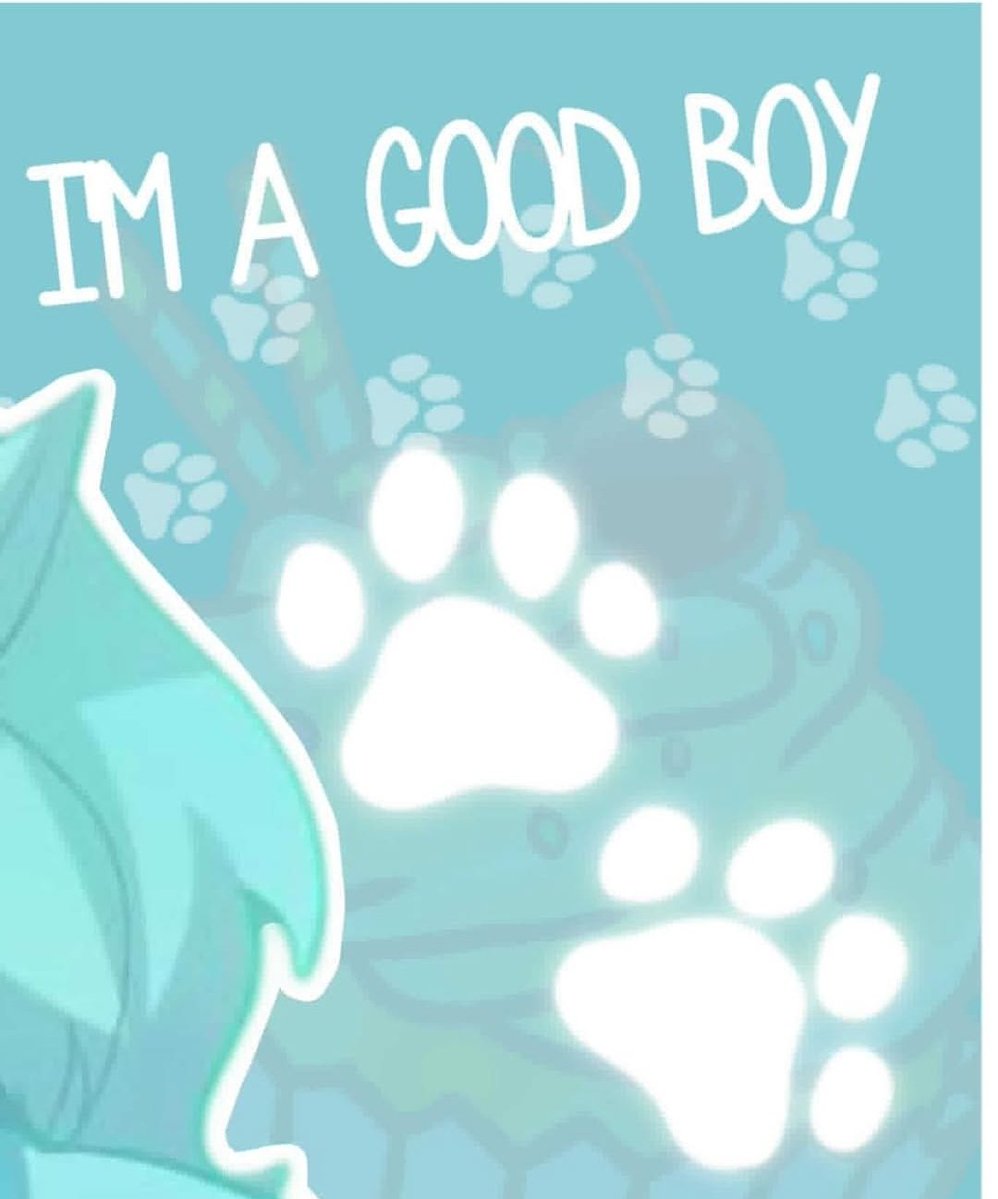 bluetonedhimbo's tweet photo. ✨️『🩵~•𝙲𝙾𝙵𝙵𝙴 𝙿𝙰𝙻𝙰𝙲𝙴•~☕️』✨️
.
  🐾  { 𝙱𝙰𝙽𝙽𝙴𝚁 𝙵𝙾𝚁 𝚃𝙷𝙴 𝙱𝙴𝚂𝚃 𝚂𝙴𝚁𝚅𝙸𝙲𝙴 
                     𝙳𝙾𝙶 𝙸𝙽 𝚃𝙾𝚆𝙽 } 🐾
.
𝙷𝙴 𝙸𝚂 𝚈𝙾𝚄𝚁 𝙽𝙴𝚆 𝙵𝙰𝚅𝙾𝚁𝙸𝚃𝙴 𝙶𝙾𝙾𝙳 𝙱𝙾𝚈
 .                      
                           ☕️✨️🐾 https://t.co/IhPrCbwoIY