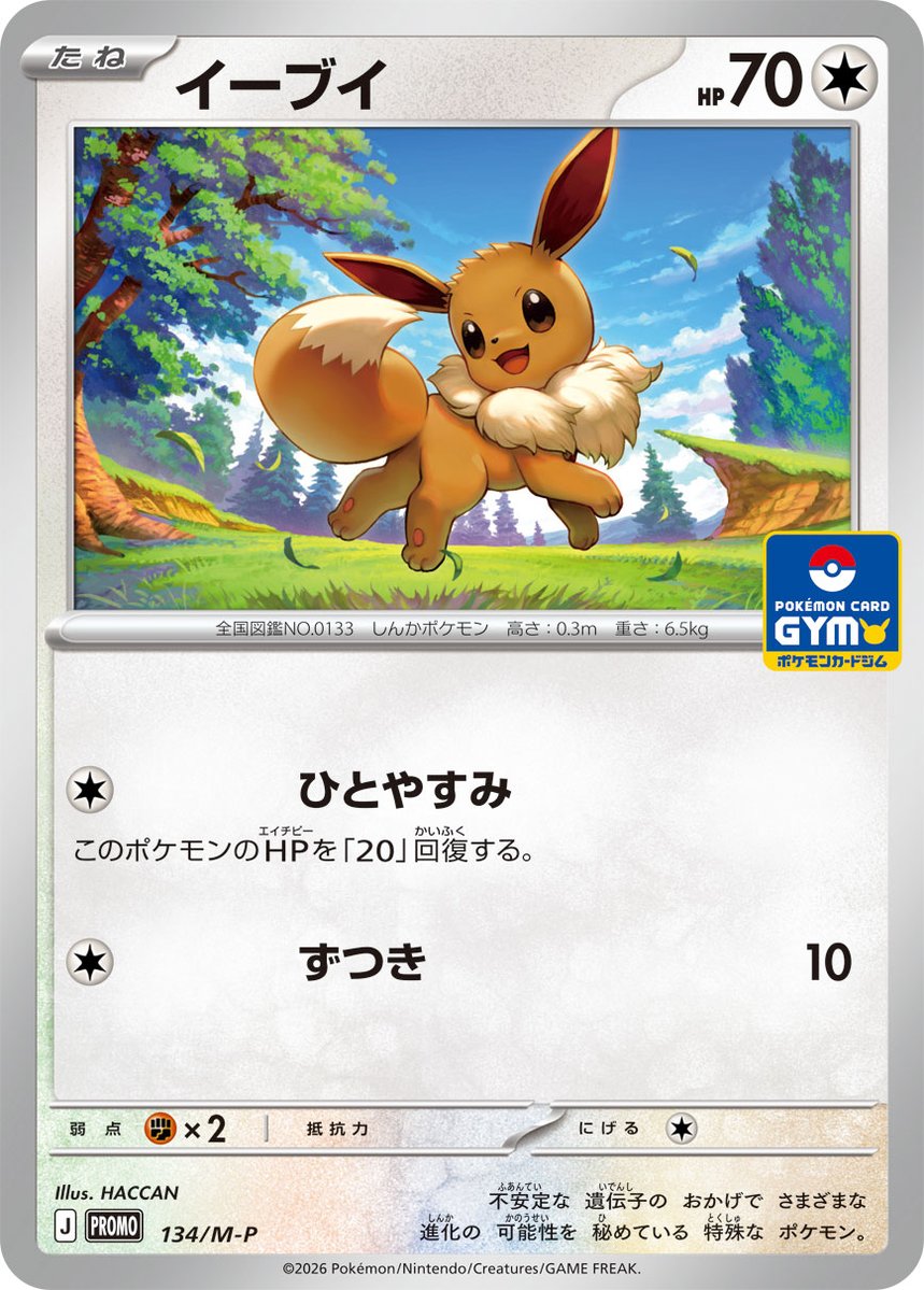 HACCAN_senshu's tweet photo. 9月2日から各地で開催されているポケモンカードゲームのイベント「デッキそのままバ��ル」の参加賞でもらえる「イーブイ」のカードを描かせていただきました！
じぶんの尻尾を追いかけるイーブイです
#ポケモンカード #PokemonTCG

https://t.co/vi1Oq1VOoS https://t.co/JnZSgiddno