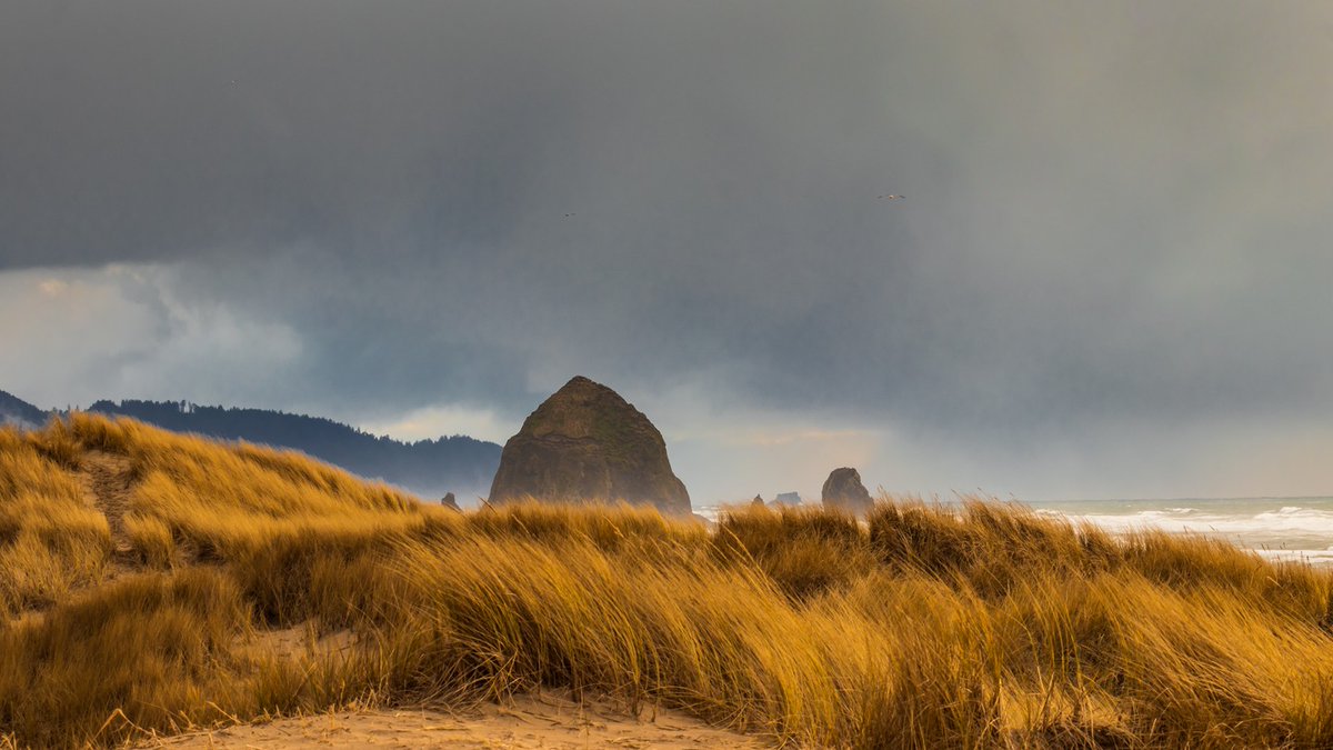 SeeSamoran8w's tweet photo. Haystack Rock https://t.co/CsvOFrZkej