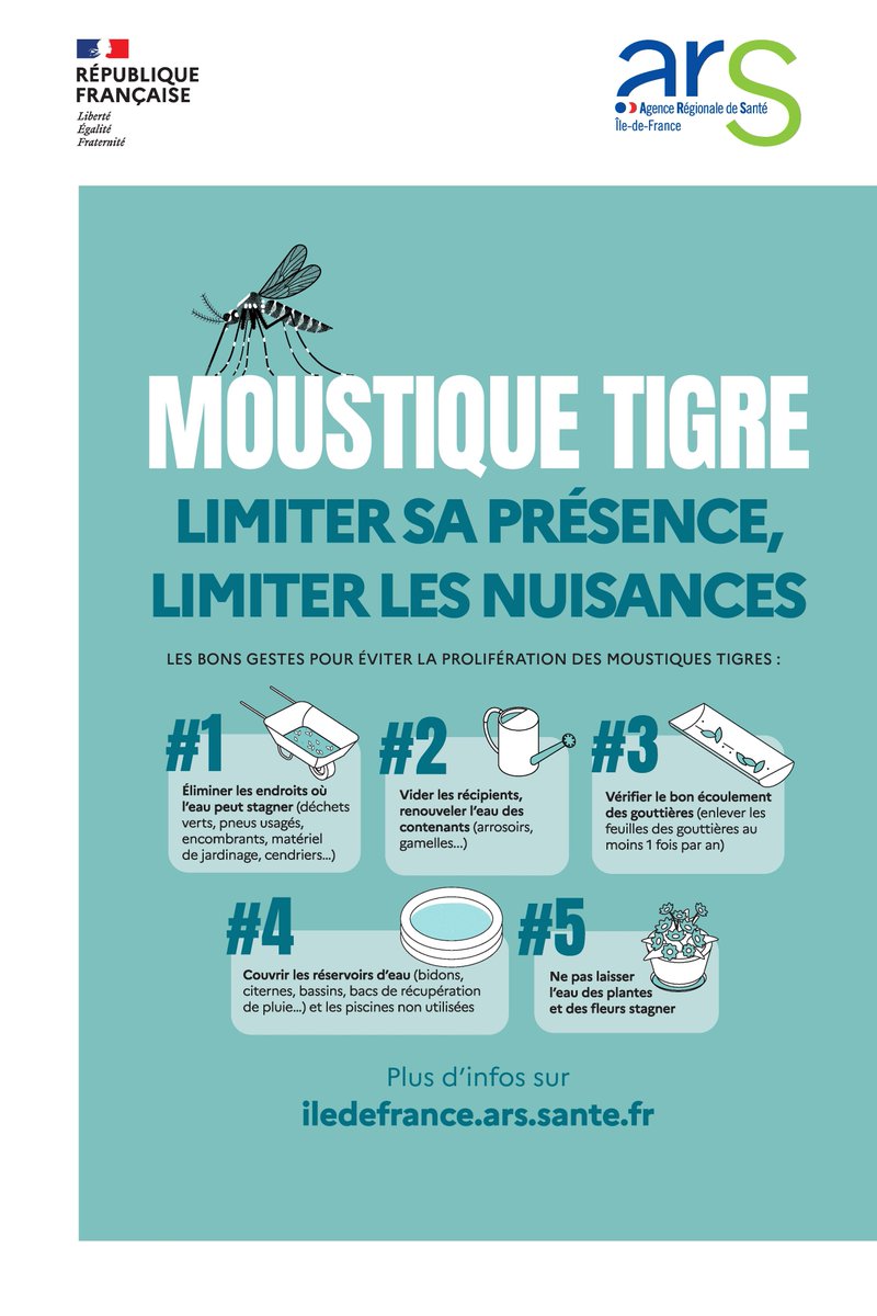 Image de Préfet de Seine-et-Marne - #Moustiques 🦟| Prévenir leur prolifération, c’est l’affaire de tous !
✅Des gestes simples permette