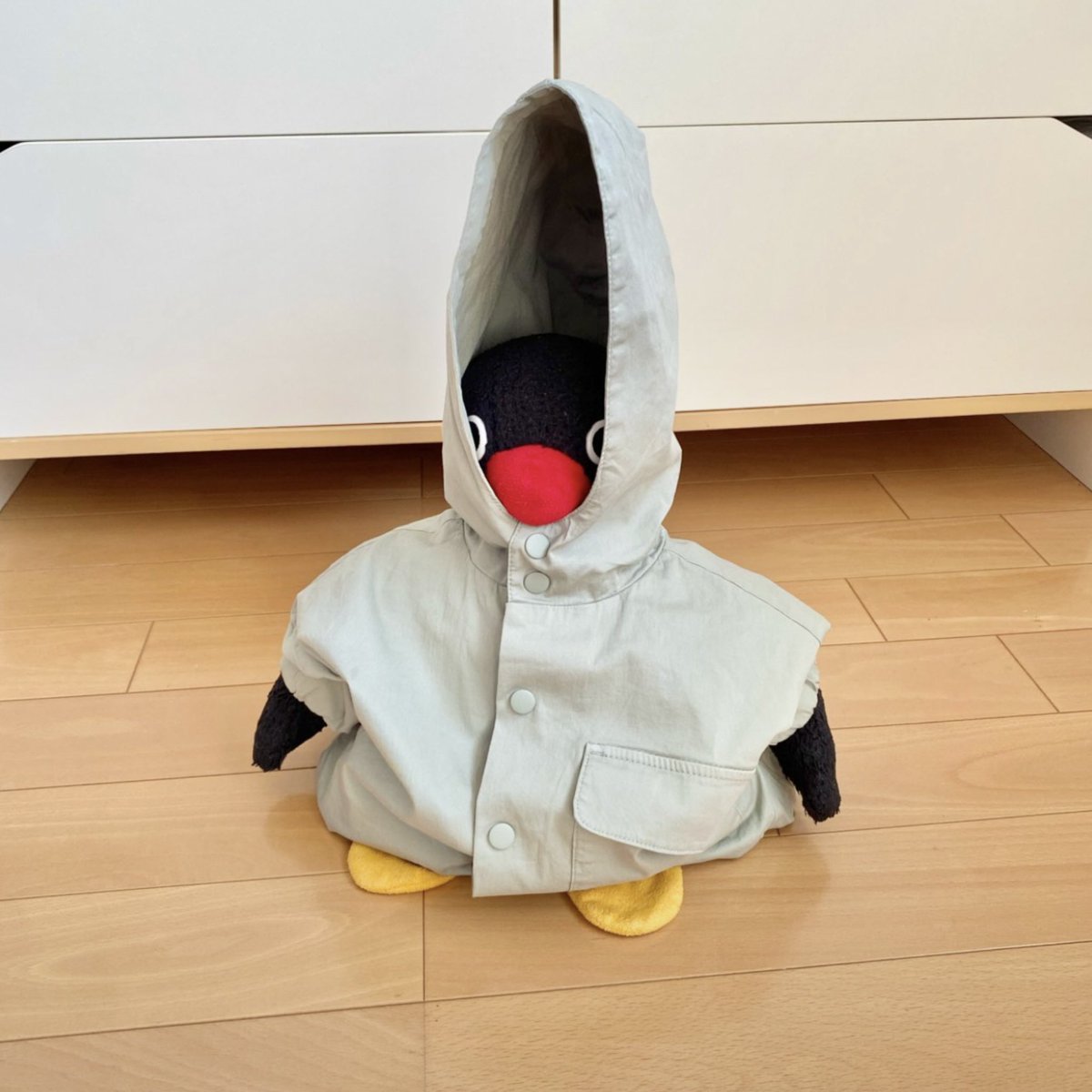 pingmyping's tweet photo. 🐧🧥 https://t.co/iPAqnRc1Zp