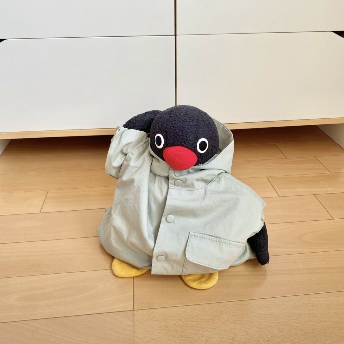 pingmyping's tweet photo. 🐧🧥 https://t.co/iPAqnRc1Zp