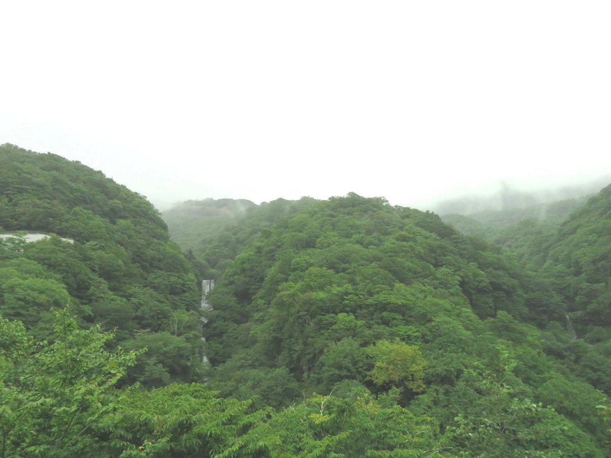 TochigikenD's tweet photo. 【雨の日は日光に憩う】file04
#奥日光 は #いろは坂 を七百ｍ登った異世界。下界が雨なの�� #中禅寺湖 は晴れていることも。
#竜頭の滝 #湯滝 などではいつもと違う豪快な落水が見られるかも！

雨のいろは坂のヘアピンカーブは急ハンドル急ブレーキ厳禁ですよ！

#地蔵滝

雨の日は日光に行こう！ https://t.co/826SmPgPuT