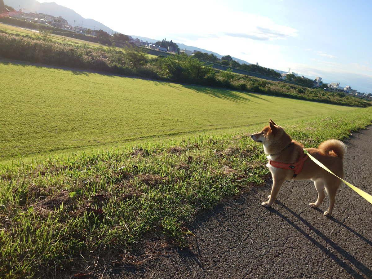 gin_1127_'s tweet photo. すっかり秋だね〜 https://t.co/meC74dBcsb