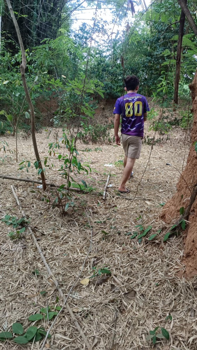 pajarij1111's tweet photo. เอ้าดอแบบนี้ก็เสวดีนะ น้องสุดหล่อแถวพัฒนา #ดีลัง #วังเพลิง #พัฒนานิคม https://t.co/Mxtgb4DBAB