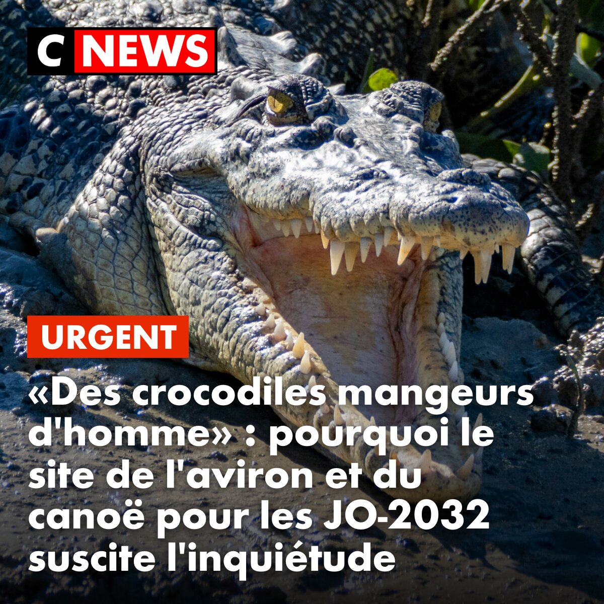 CNEWS's tweet photo. Un choix audacieux. ➡️ https://t.co/yJd61hncUz https://t.co/JKVdG3XqA9