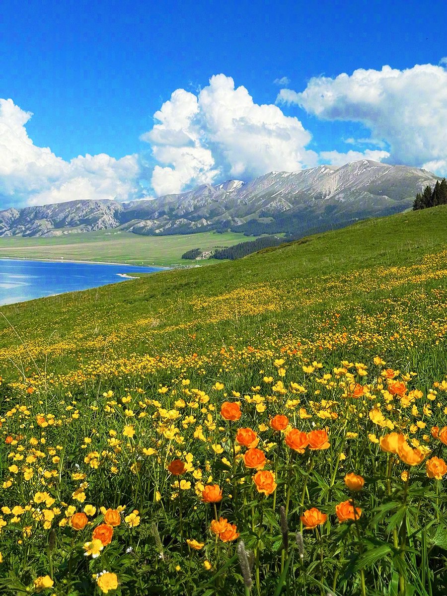 MaraHal1204's tweet photo. Time wanders over the land, leaving romance unique to nature. #NatureView #MomentsInLife https://t.co/pzRdak35gB