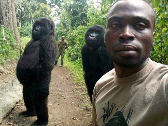 TraderTeaH2T's tweet photo. I need an elite high-stakes gambler to partner with me and turn $100K into $1M in three months.🤥

If they pull it off, I’ll give them $100K.

Does anyone know someone? #trading https://t.co/osGZh2jyBJ