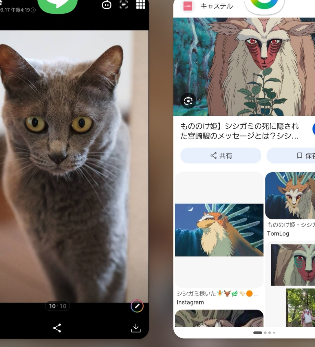 kinatan05's tweet photo. シシ神様に見えてしかたない(´ཫ`) https://t.co/uu4SvRCZJS
