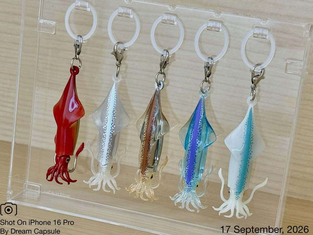 dreamcapsuleCEO's tweet photo. 🌟新入荷ガチャ商品プレゼントCP🌟

引っ張るとワタが飛び出す🦑シリコンリング付きで登場！
「イカとワタ マーカーチャーム」

フォロー&amp;RP(RT)していただいた方の中から抽選で2名様に全5種セットをプレゼント🎁

ドリカプへの入荷日とキャンペーン詳細は↓

#ドリームカプセル #ガチャ専門店 https://t.co/zKKkXARAFm
