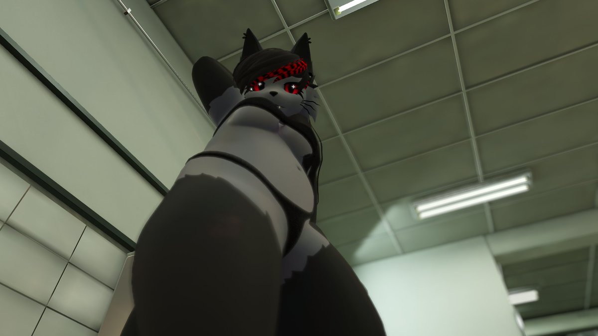 rammedrami's tweet photo. Ughhh these clothes take forever to dry.... Come keep this kitty entertained~ #vrc #vrcfurry #furryNSFW #mayu https://t.co/QI1owK741e