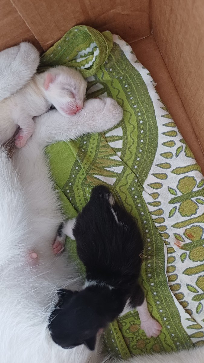 hafsshah's tweet photo. bayi mabok susu https://t.co/jcDhzHKG4u
