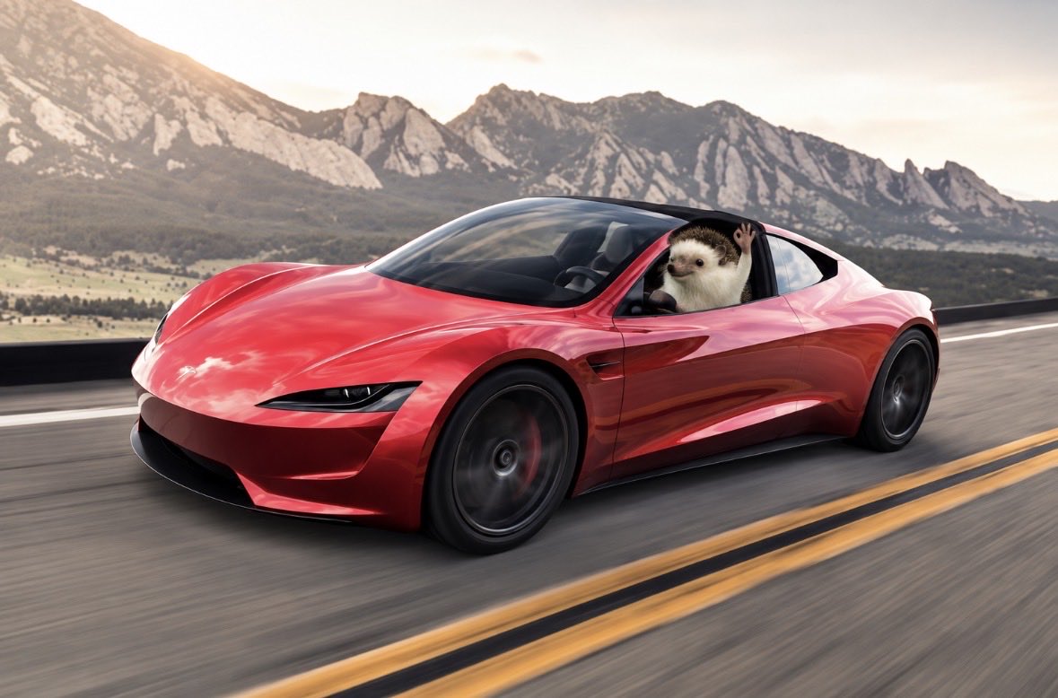 RizoTeslaMeme's tweet photo. @elonmusk @Rothmus rizo too haha https://t.co/SGWTQgO4of
