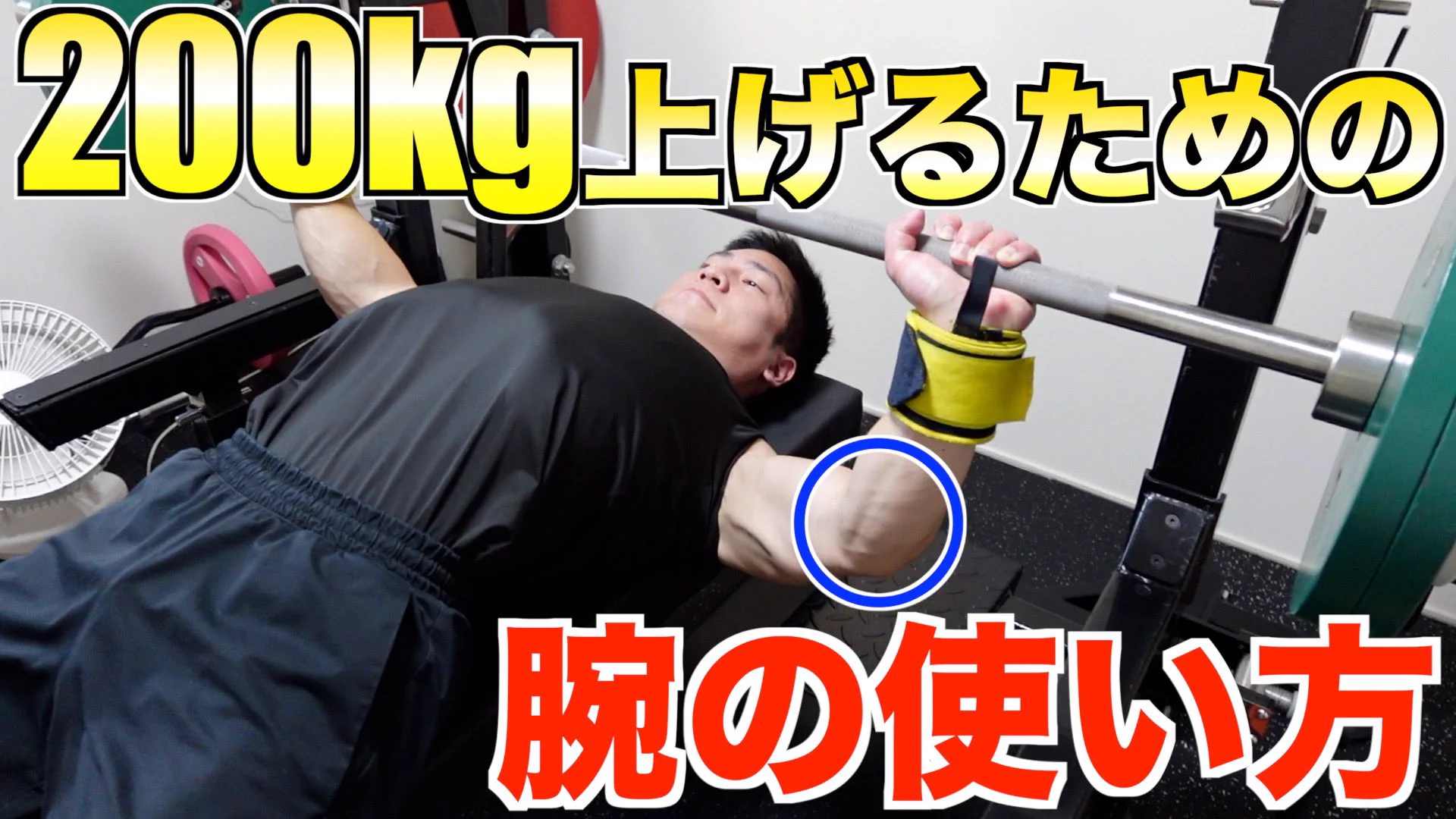 飛田 渉 on X: 