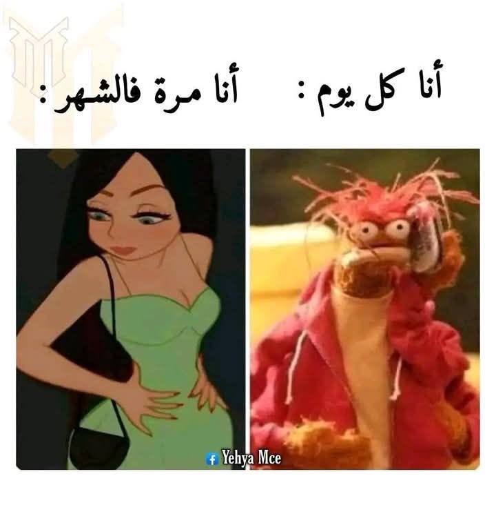 Ghada00094's tweet photo. https://t.co/WAtZ07kh6q