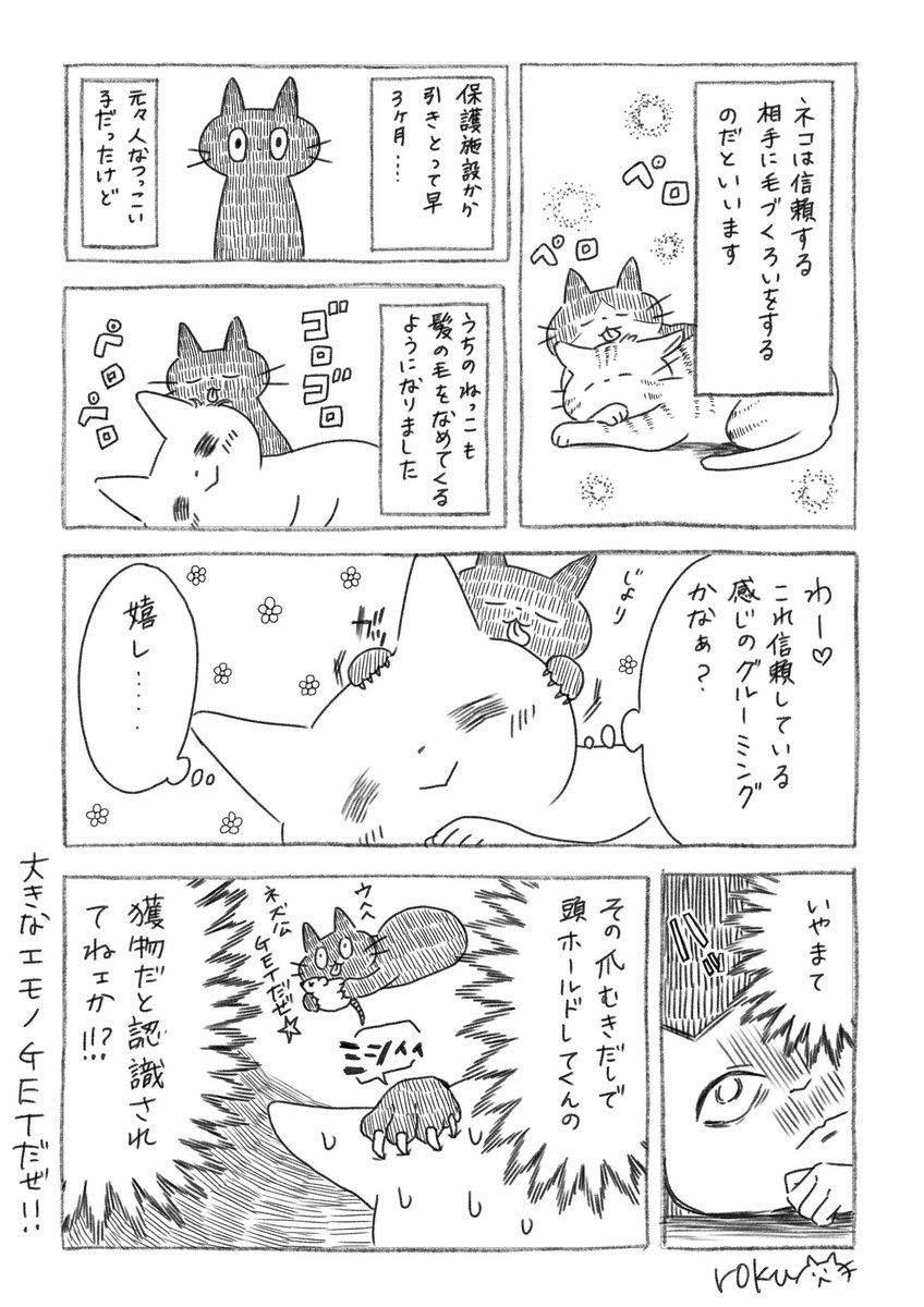 rokukiha's tweet photo. たまには一緒に暮らしてる猫のことを漫画にしてみる

#漫画 #猫 #イラスト https://t.co/gNQxTT1G2h