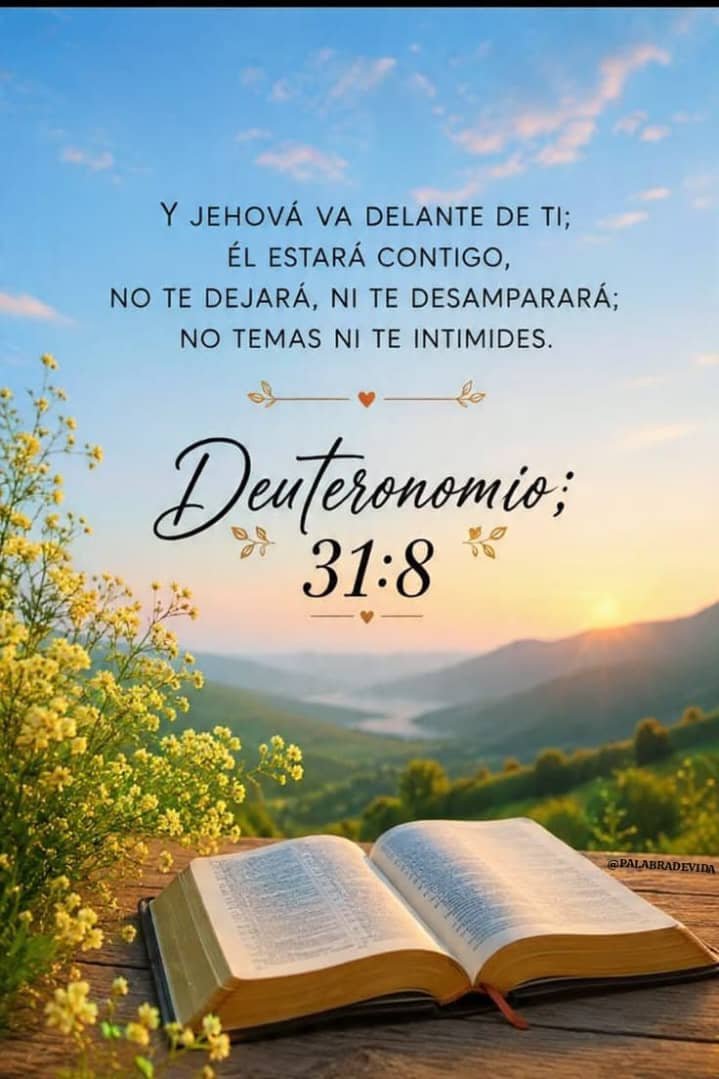 MMMGOMEZRENDON's tweet photo. 𝗜𝗚𝗟𝗘𝗦𝗜𝗔 𝗠𝗠𝗠 𝗚𝗢𝗠𝗘𝗭 𝗥𝗘𝗡𝗗𝗢𝗡
𝗖𝗮𝗹𝗹𝗲 𝟭𝟳 𝗲𝗻𝘁𝗿𝗲 𝗚𝗼𝗺𝗲𝘇 𝗥𝗲𝗻𝗱𝗼𝗻 𝘆 𝗠𝗮𝗹𝗱𝗼𝗻𝗮𝗱𝗼 https://t.co/Uxt7l7MZpE