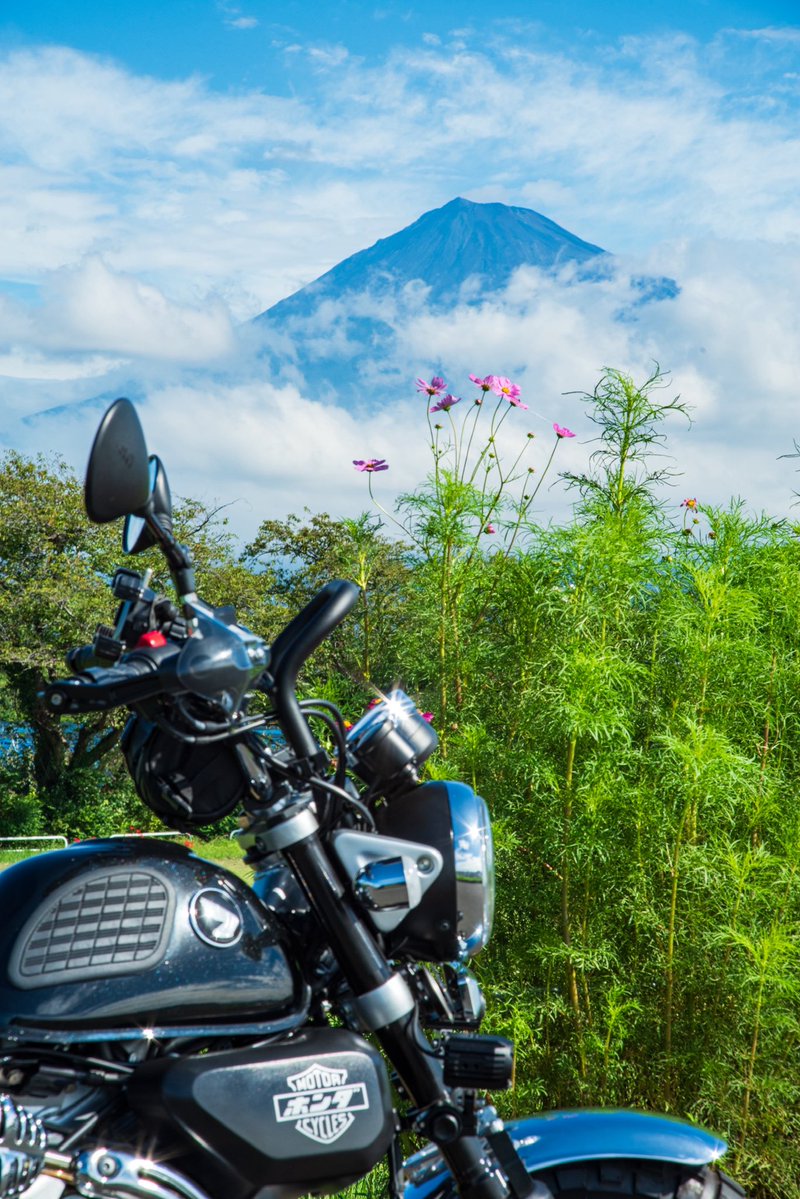 W_Fields_M's tweet photo. 秋晴れと秋桜

#ツーキング #モンキー125 #富士山 #秋桜 https://t.co/oN5w7nsBDS