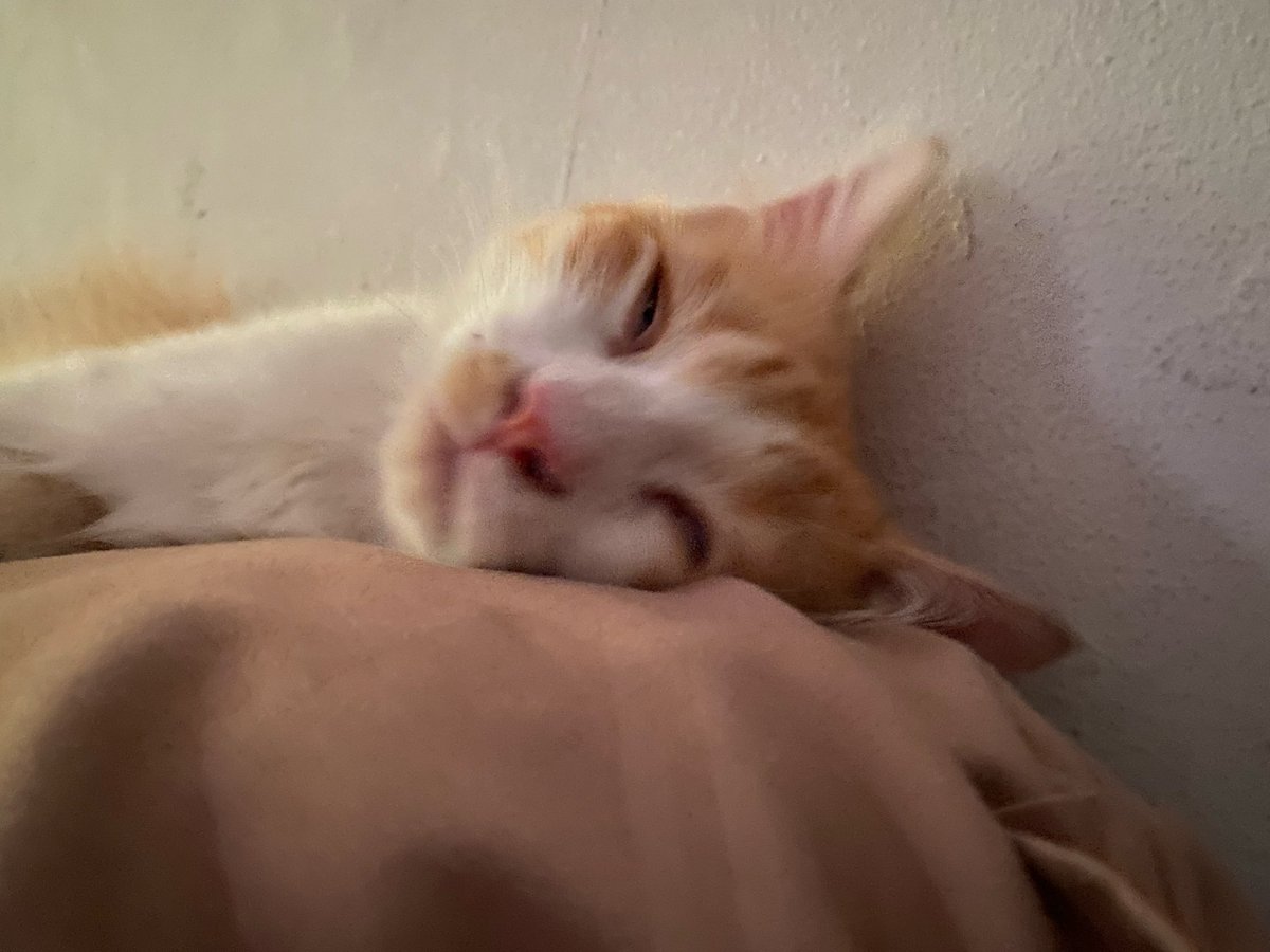 Indiramnk1's tweet photo. Everyday mood udin : 🥱 https://t.co/CHLUuAuBHU