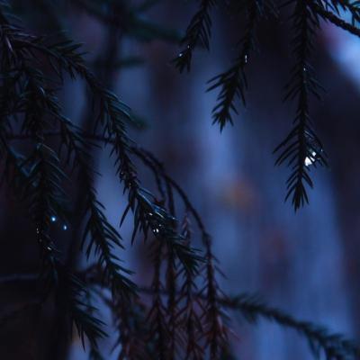 Prakash99559366's tweet photo. 🧢 🌱 👑 🎊 🧳 City lights at dusk are dreamy https://t.co/Xo3enJQXqT