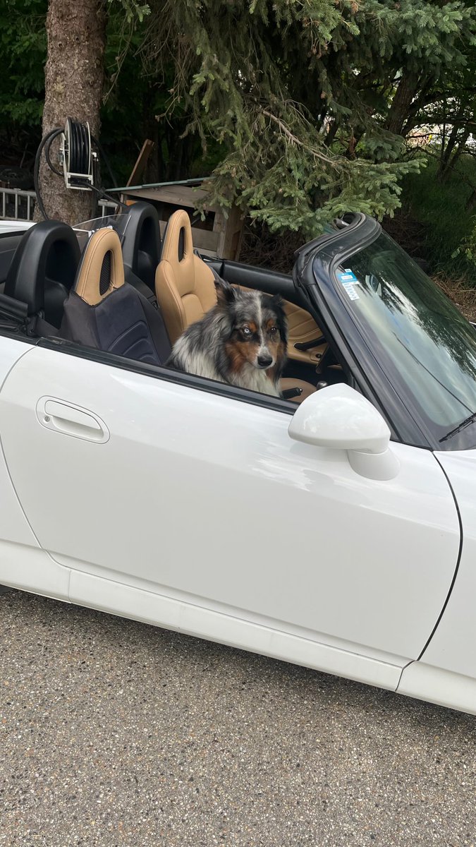 ColeneSals1w7's tweet photo. Saturday night cruise with the best partner. https://t.co/sjbDCMJShP