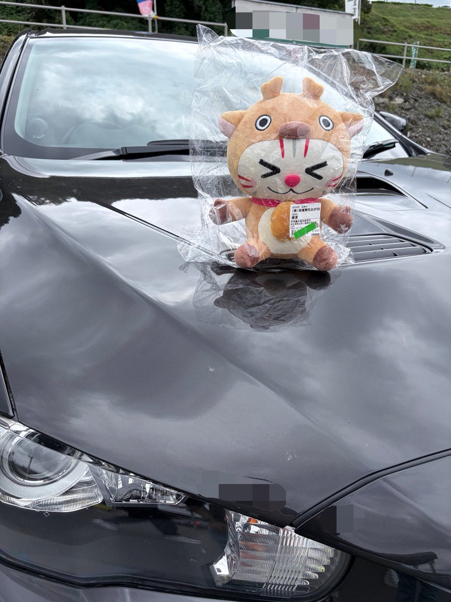 Sean_evodies's tweet photo. トコろん…じゃなくて、おがニャッピー🌱
おがニャッピーの近くにいる人からいただきましたー♩かわいいじゃないか😊

#おがニャッピー https://t.co/JQEp4KqQx2