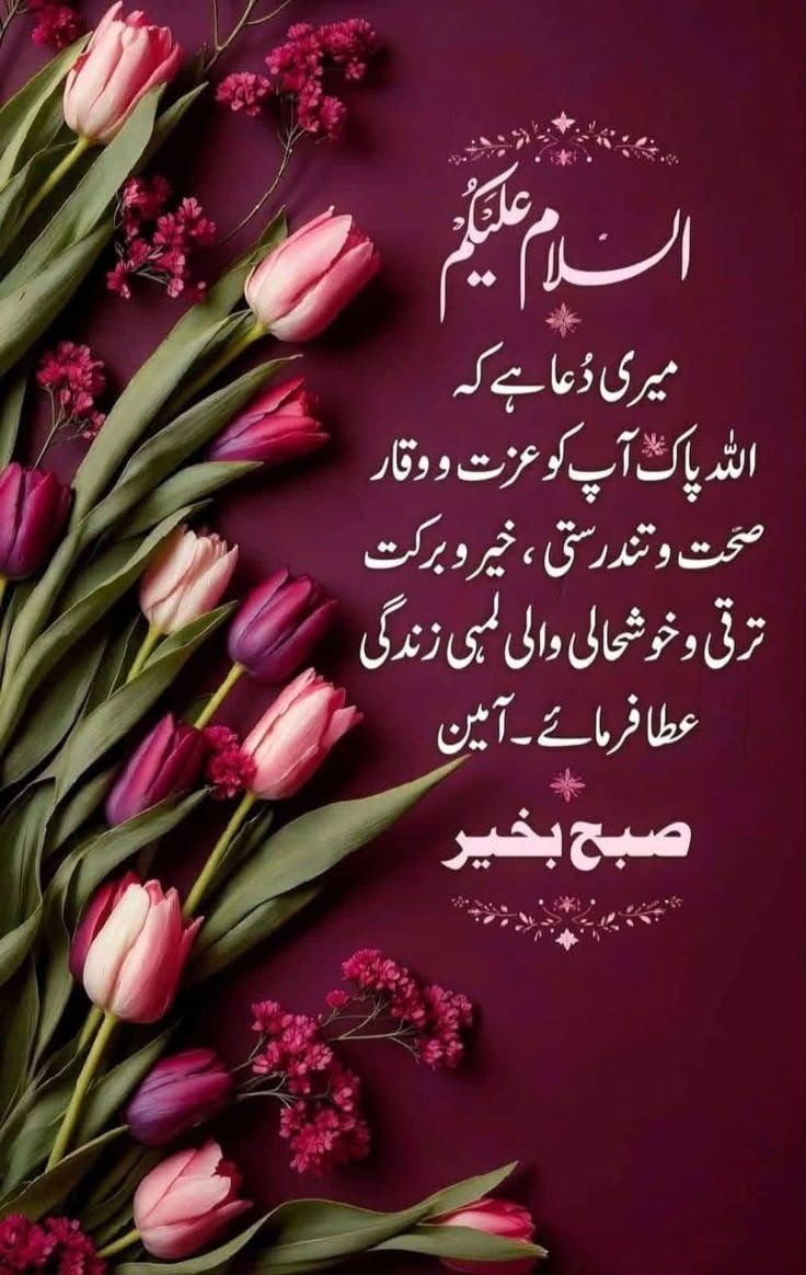 pirRashid's tweet photo. @nasir_kassi @Shahidmasooddr وعلیکم السلام ورحمتہ اللہ وبرکاتہ صبح بخیر https://t.co/e1mFxfFOk1