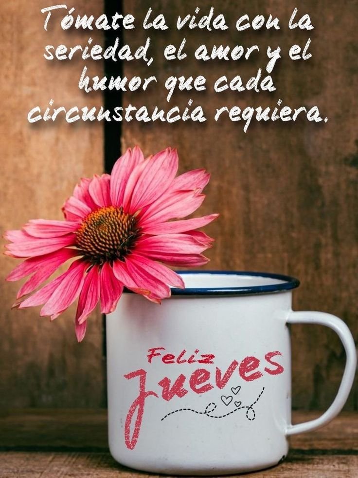 Cecifreire2012's tweet photo. Muy buenos días mi gente querida !!! Disfruten de un feliz y fantástico jueves 🌺🌺🌺🌺🌺🌺🌼🌼🌺🌼🌺🌼🌺🌼🌺🌼🌺🌼🌺 https://t.co/NcZH6vQ5yf