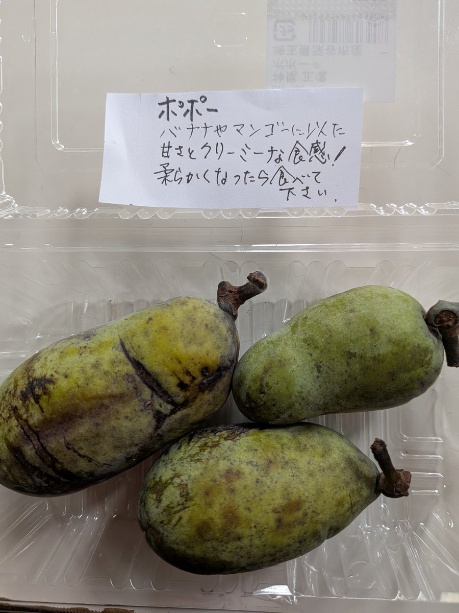 chatanavi's tweet photo. ポポー。
子供の頃、母の実家になっていて
庭で遊びながら食べた懐かしい味。
他には栗、柿、イチジク、柘榴、枇杷、
ナナミカドと呼んでいた
甘酸っぱい赤い実をつける低木など季節の実りがあった。

東京からの帰り道
駅で「笠間モンブラン」の出店があったので一緒に。

＃ポポー
＃笠間モンブラン https://t.co/O4U5Xt8DXM