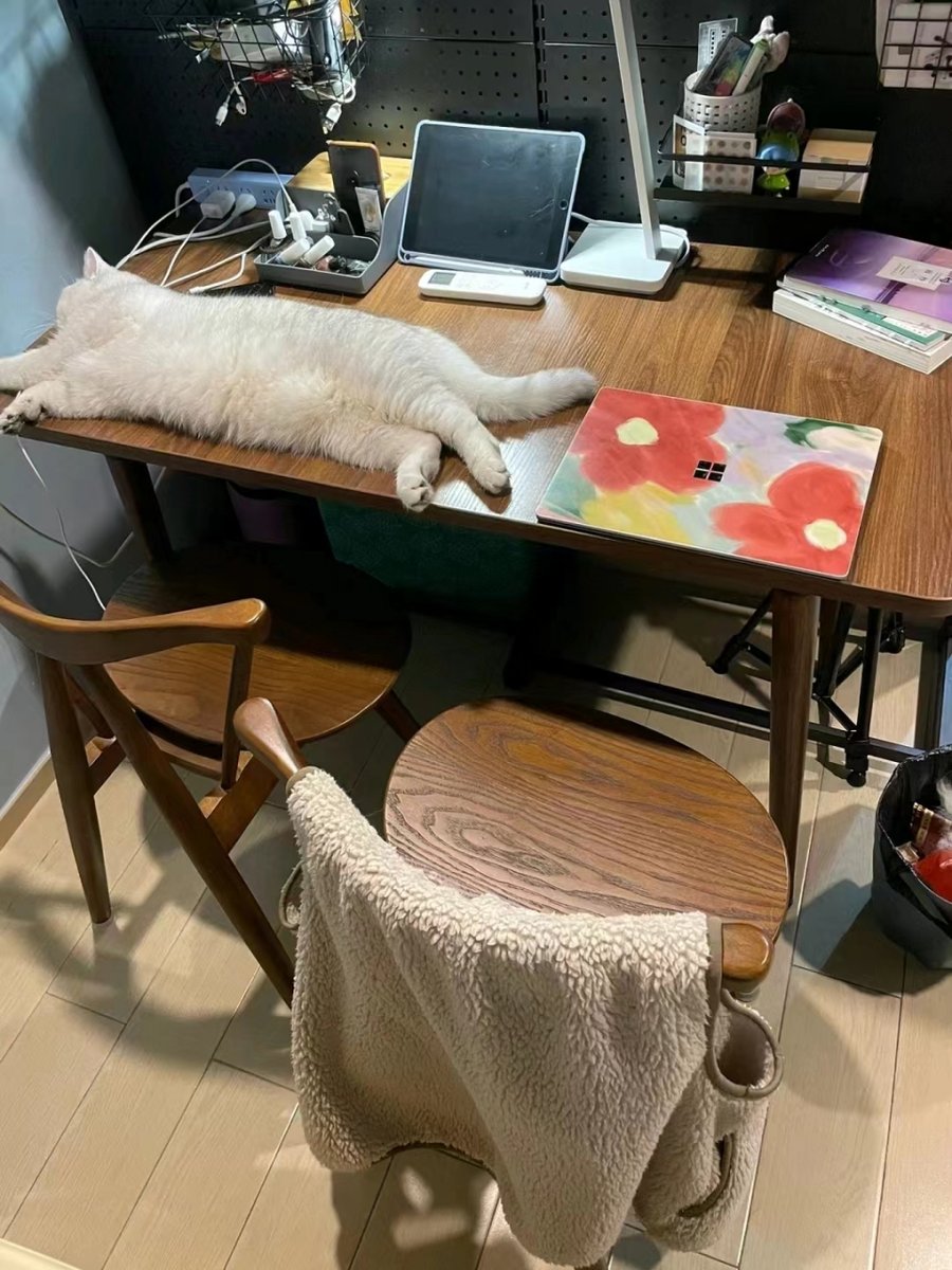 aikow348508's tweet photo. Pancake the cat thinks my work meeting is way more boring than his nap time. Turned half my desk into a sunbed and I’m not even mad.  #PetCompanionLife， https://t.co/6ONbdl891E