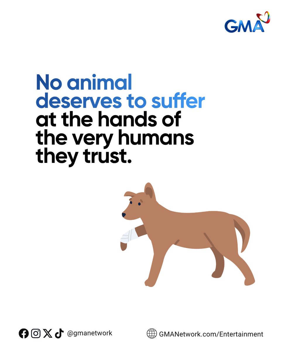 gmanetwork's tweet photo. Always choose compassion and help create a world where every pet feels safe, loved, and protected. 🐾❤️ 

#KapusoFYP #GMANetwork #AnimalWelfare #StopAnimalAbuse https://t.co/GihuPL9Ti3