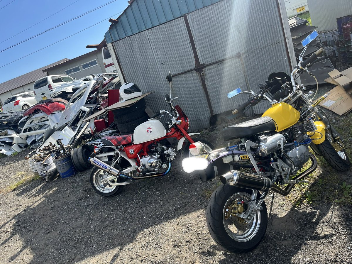 RagDxll's tweet photo. ちいさくて可愛いやつ https://t.co/gram5x4f9X