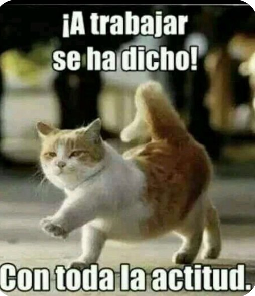 leila131281's tweet photo. Buenos días, feliz jueves 😃🤗☕ https://t.co/BnTpBUsGbt