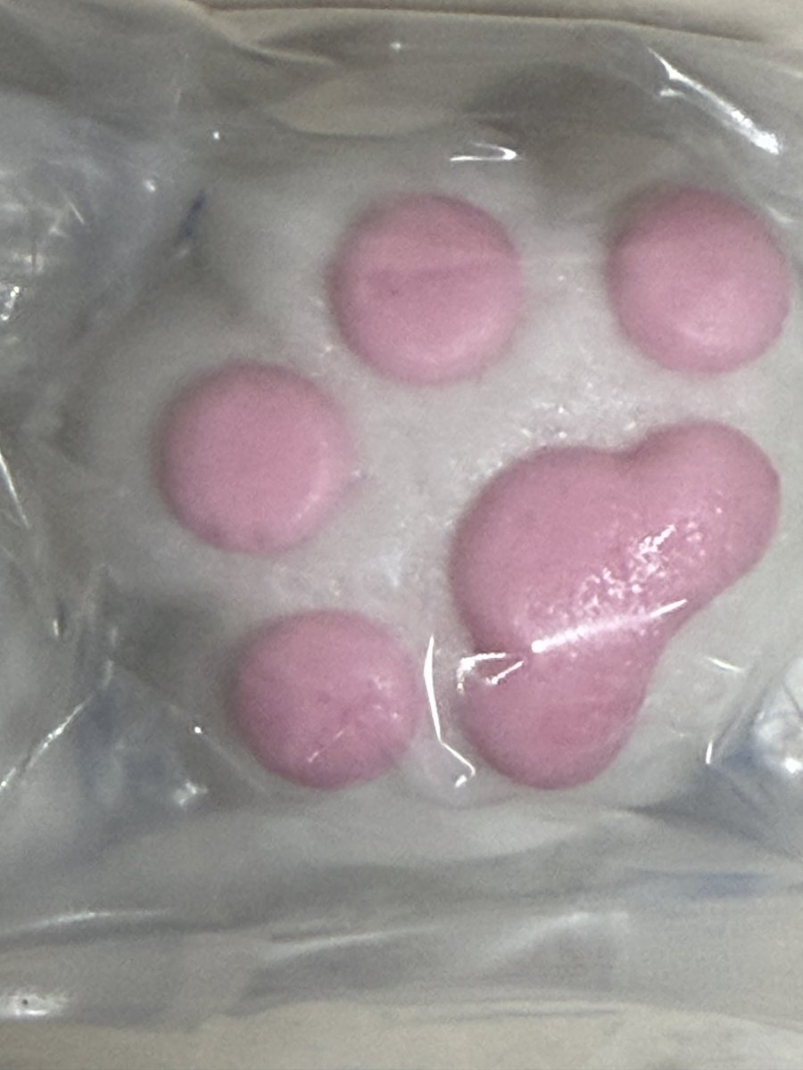mdrkw_hikaru's tweet photo. 奥様が、可愛いお饅頭売ってたからとオレの為に���ってきてくれた。シマエナガ！！💕とテンション上がって喜んだけど、奥様のも肉球でなかなかどうして可愛いかった😁 https://t.co/xnzzNw8d8J