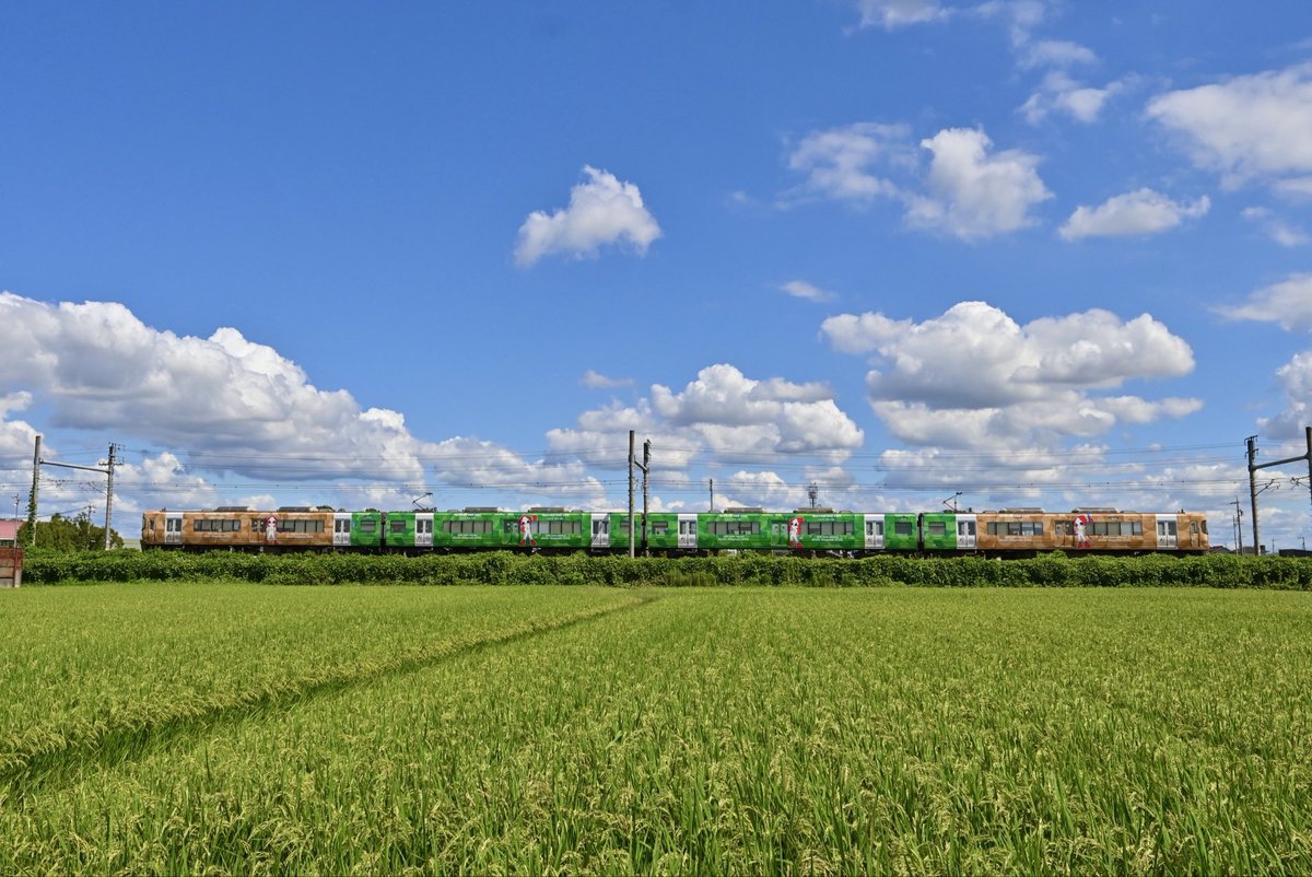 T45k0318's tweet photo. 今日の一枚、木曽川岐阜間でアジア大会アジアパラ大会ラッピング電車。

　地元の電車だったのでもっと早く撮りたかったが、暑すぎたり雨が続いたりして撮るチャンスがなかった。

　下り通過時は雲がかかっていたが、返しは青空が広がったので空を多めに入れた。 https://t.co/nLR8nHa2cV