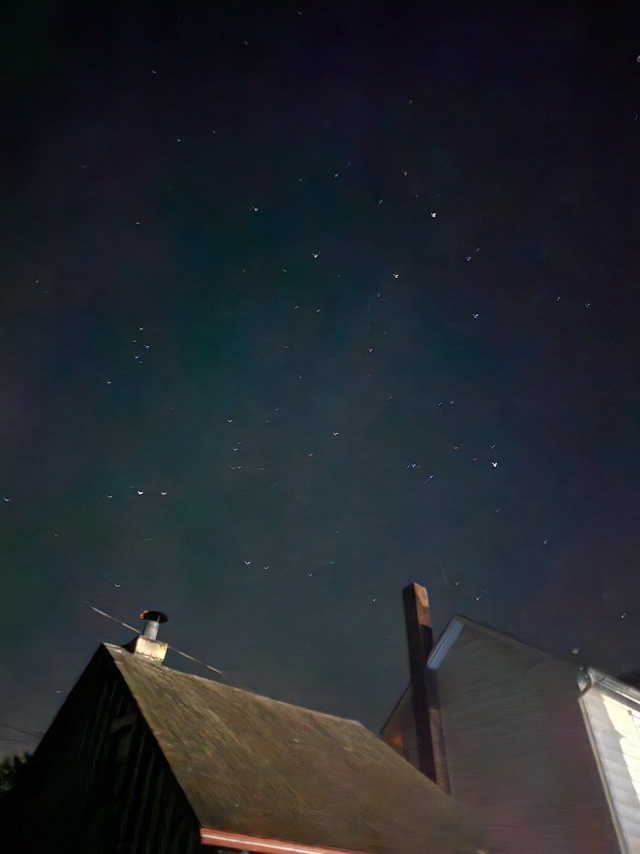 LovingCryptid's tweet photo. Really loving the night. Something about the night is just majestic. https://t.co/6YvsiV3Okm