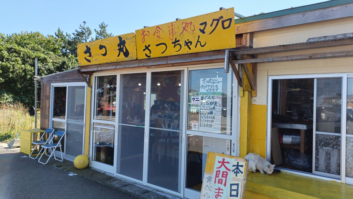 sippo_111's tweet photo. この店にする。大間のまぐろを食らう猫もいた https://t.co/FcN8PZ6625